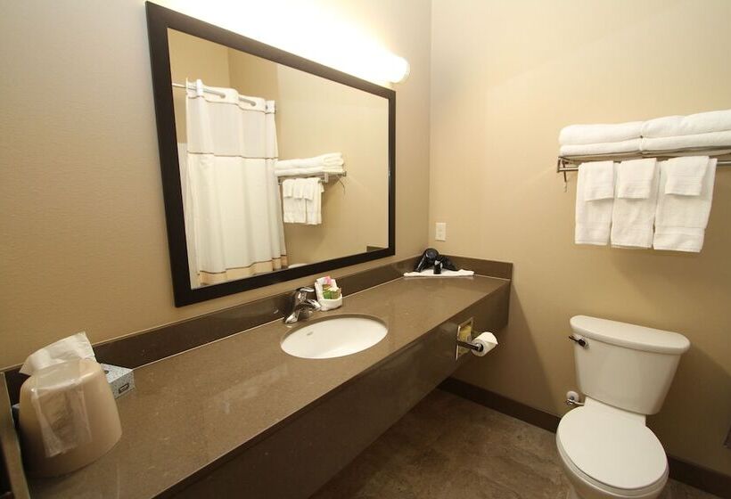 סוויטה מותאמת לאדם עם מוגבלויות, Bowman Lodge & Convention Center