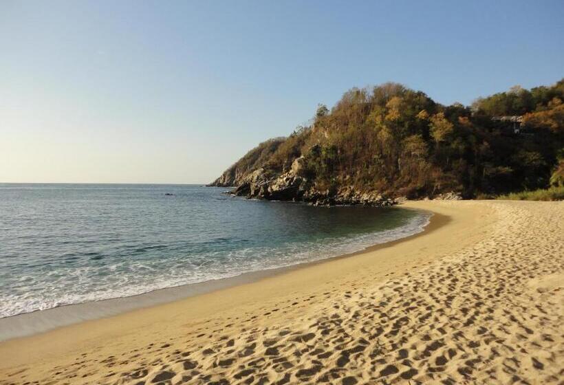 １ベッドルームハウス, Casa Luna Playa