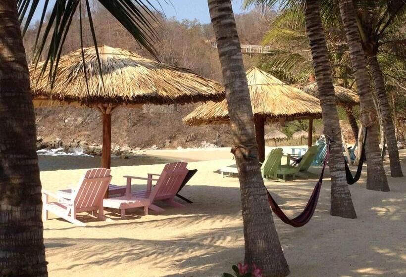 Дом 1 Спальня, Casa Luna Playa