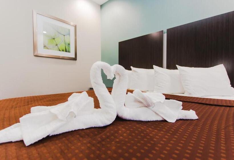 带大床的套房, Express Inn  Spring