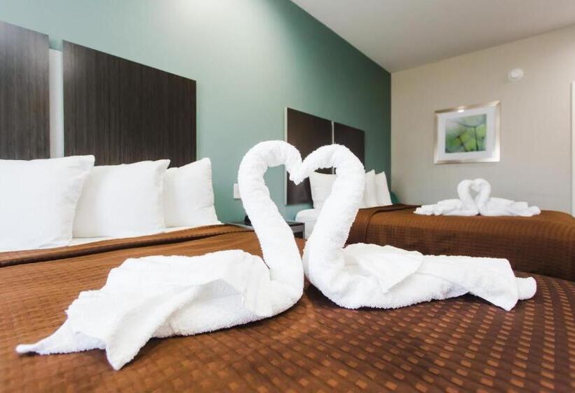 标准间, Express Inn  Spring