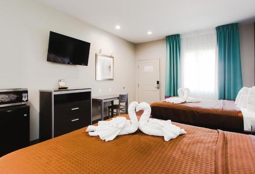 标准间, Express Inn  Spring