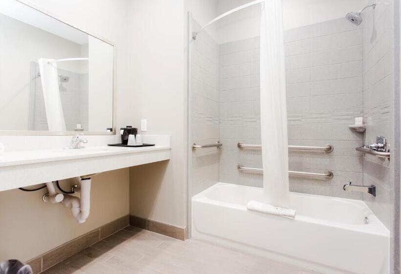 Standard Værelse, Express Inn  Spring