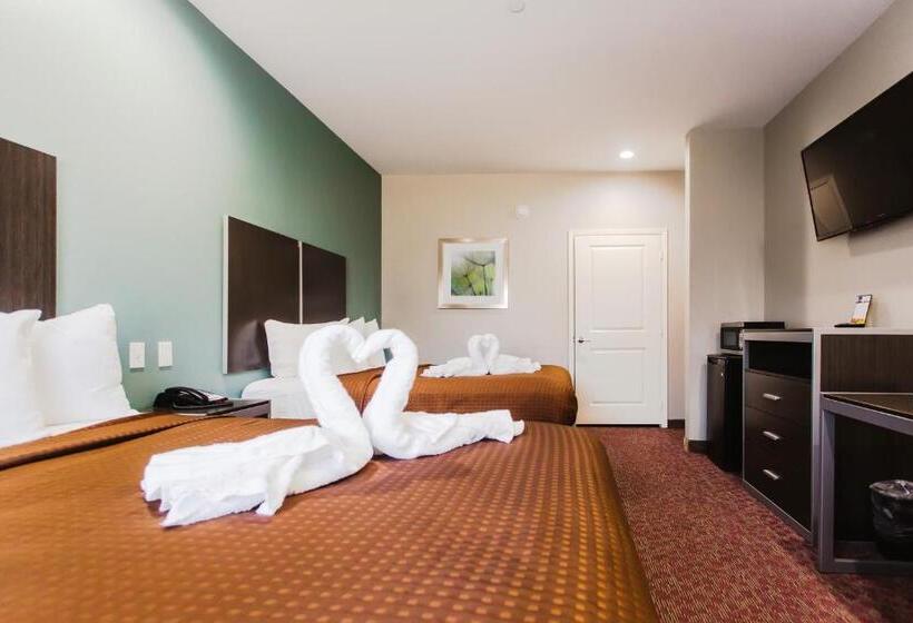 标准间, Express Inn  Spring