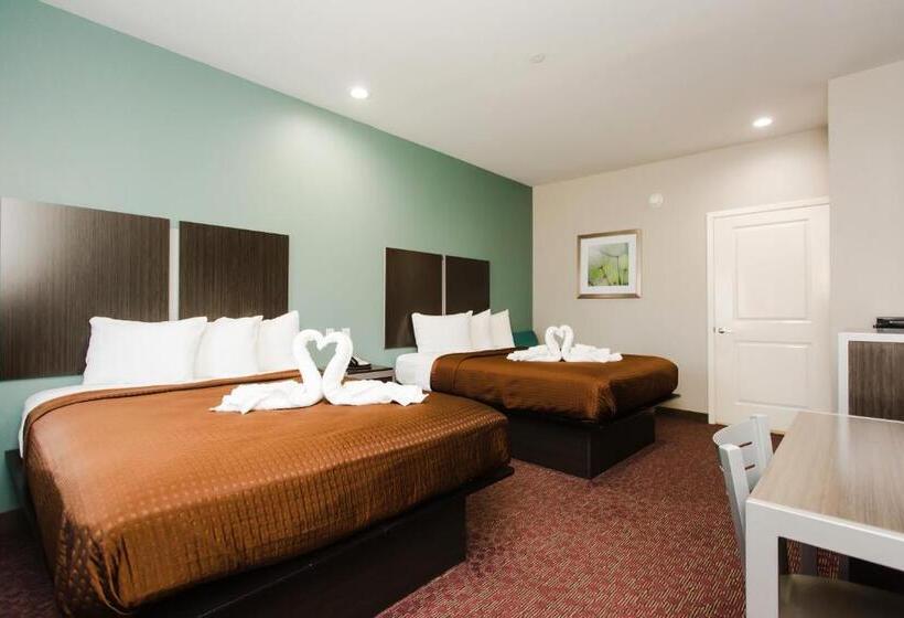 Standard Værelse, Express Inn  Spring