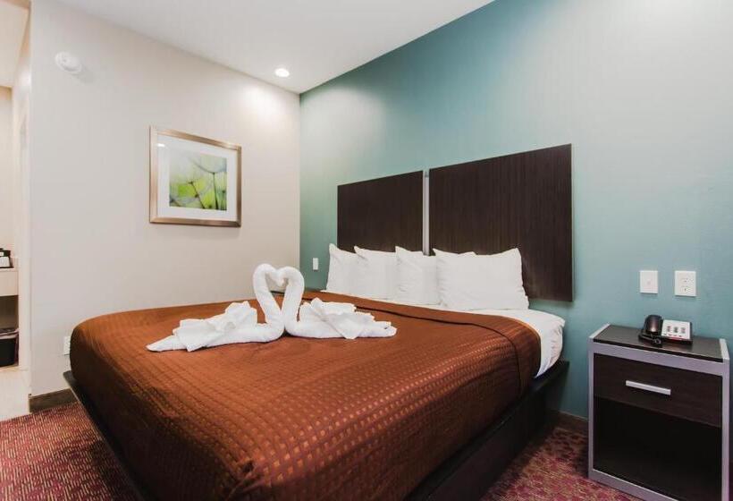 Suite King Size Seng, Express Inn  Spring