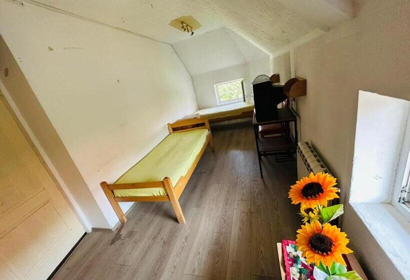 اتاق استاندارد, Rooms For Rent Sara