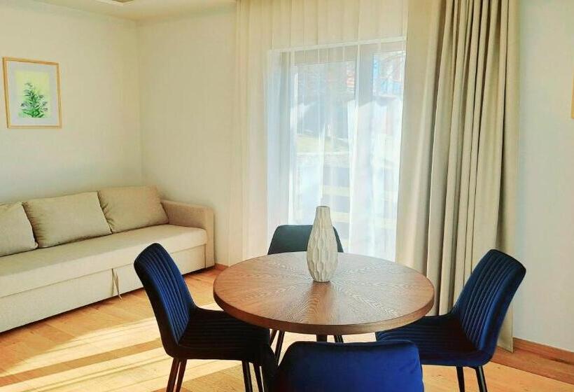 Апартаменты 1 Спальня с Балконом, Pensiunea Leonida   Resort Leonida