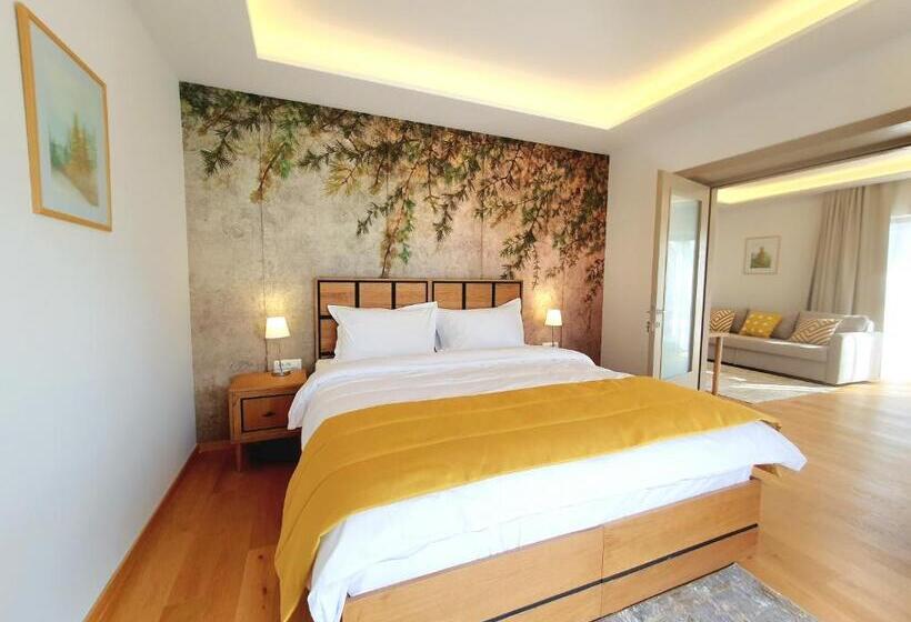 Апартаменты 1 Спальня с Балконом, Pensiunea Leonida   Resort Leonida