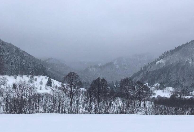 Стандартный Номер Кровать Кинг, Forest Apartment Forest Escape Menzenschwand