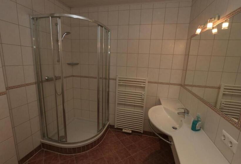 Апартаменты 1 Спальня, Appartement Hans