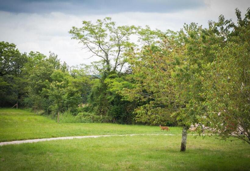 Номер Стандарт с Террасой, Domaine De L Ecorcerie