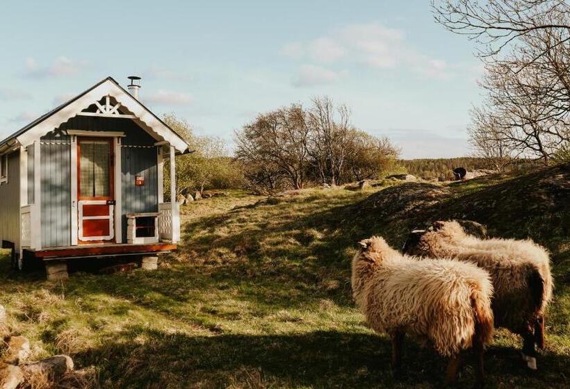 Номер Стандарт Совместная Ванная, The Thistle Inn   Eko Farmstay