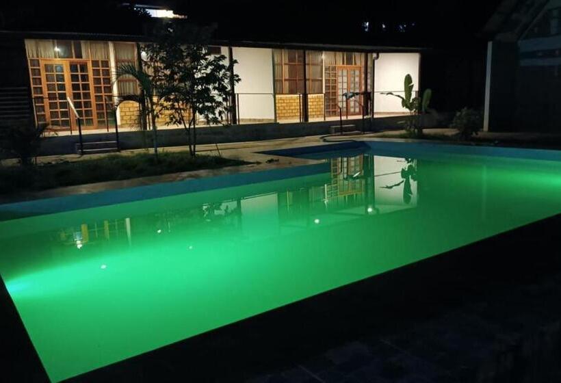 חדר סטנדרט, Tiktoker Lodge