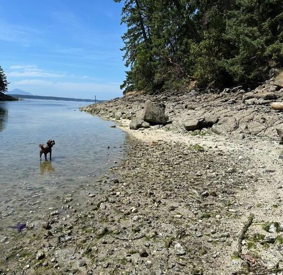 خانه 2 خوابه, Thetis Island Get Away Cottage