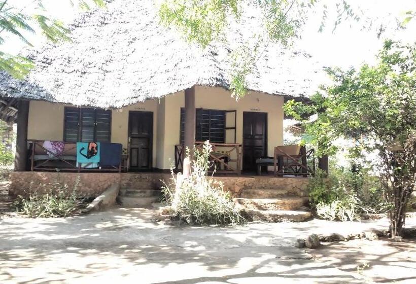 Номер Economy, Baraka Aquarium Bungalows