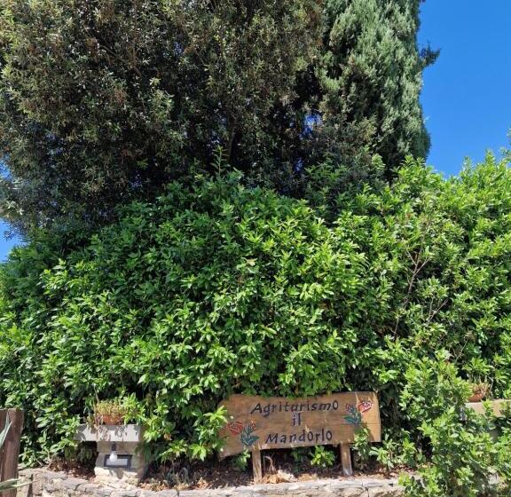 Апартаменты Superior 3 Спальни, Agriturismo Il Mandorlo