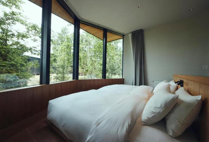 Family Suite, Soneka
