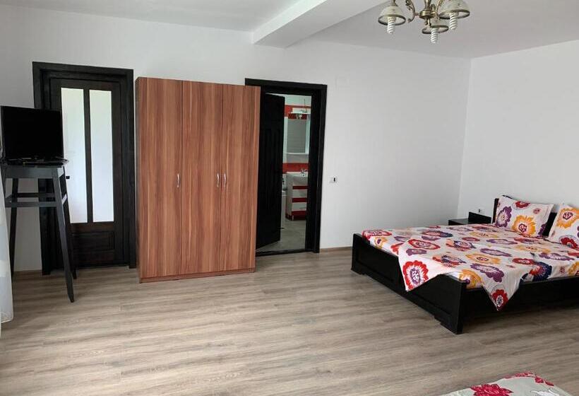 Апартаменты Deluxe 2 Спальни, Pensiunea Valea Pintei