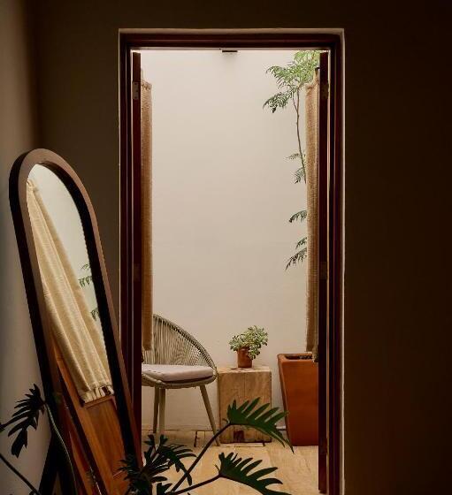 Quarto Estandar, Stay Ortenxia