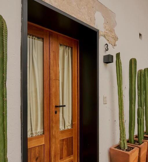Quarto Estandar, Stay Ortenxia