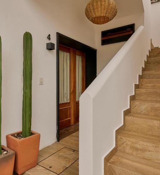 Quarto Deluxe, Stay Ortenxia