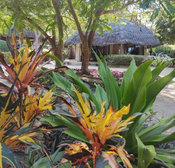 바다 전망 디럭스 3인룸, Marafiki Bungalows