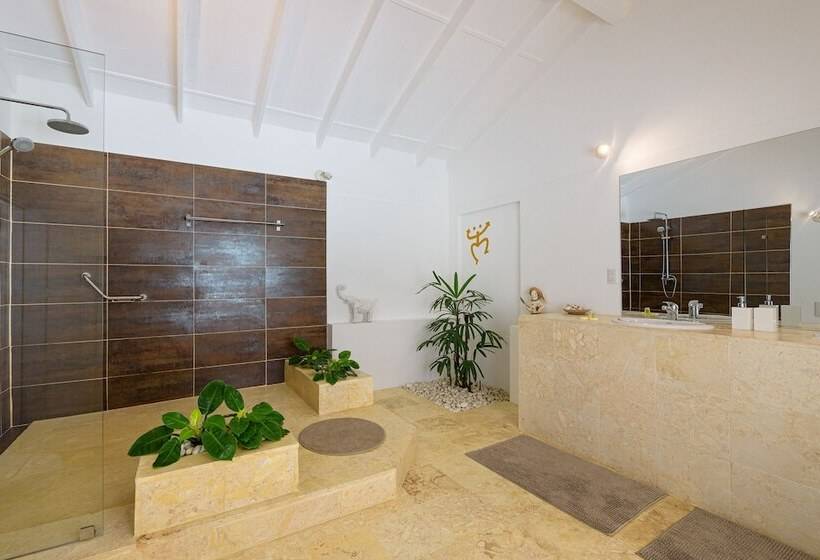 اتاق سوپریور, Adults Only Hacienda Terra Taina