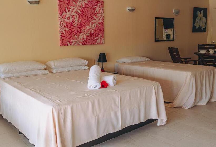 اتاق استاندارد با چشم‌انداز استخر, Kiikii Inn & Suites