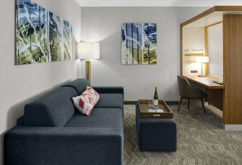 سوییت, Springhill Suites By Marriott Kansas City Lenexa/city Center