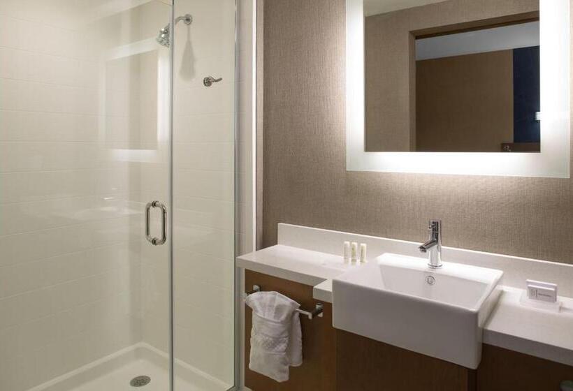 سوئیت با تخت بزرگ, Springhill Suites By Marriott Kansas City Lenexa/city Center