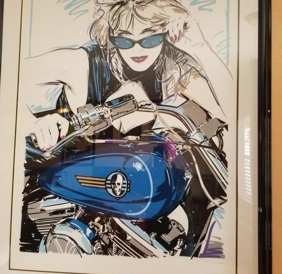 Номер Стандарт Внутренний, Galaxy Of Harley Bikers Between Bryce And Zion