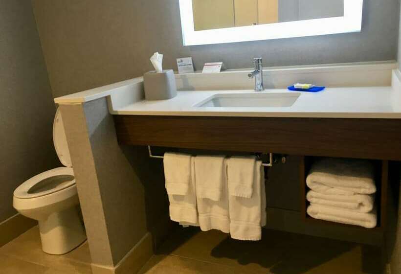 Номер Стандарт Двуспальная Кровать, Holiday Inn Express   Grand Island, An Ihg