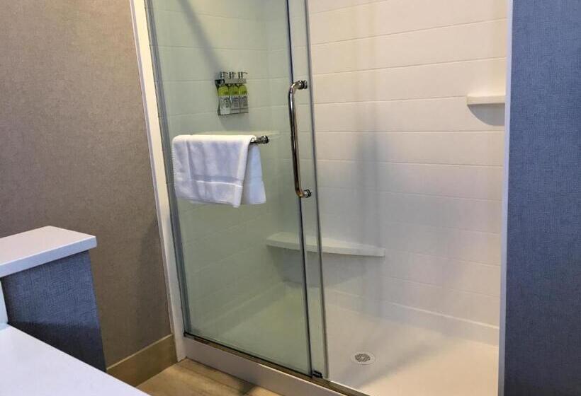 Номер Стандарт, Holiday Inn Express   Grand Island, An Ihg