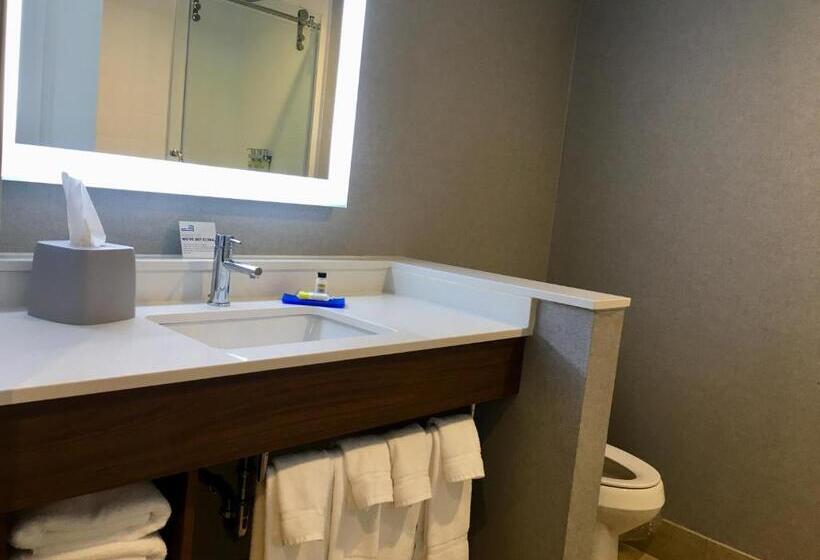 Номер Стандарт Адаптированный для Инвалидов, Holiday Inn Express   Grand Island, An Ihg