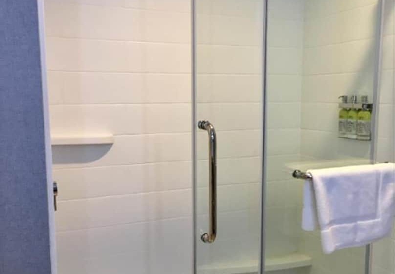 Люкс Адаптированный для Инвалидов, Holiday Inn Express   Grand Island, An Ihg