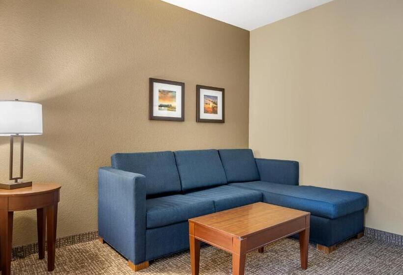 Люкс Кровать Кинг, Comfort Inn & Suites Augusta