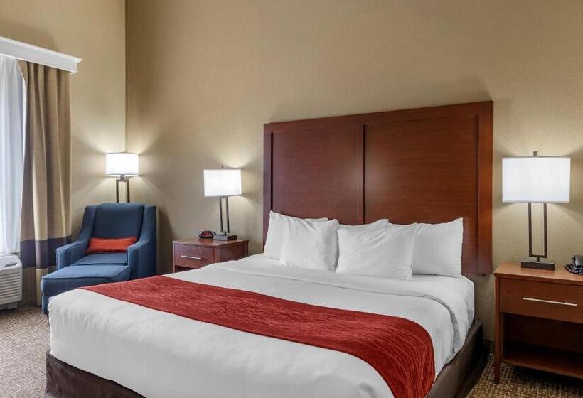 Номер Стандарт Кровать Кинг Адаптированный для Инвалидов, Comfort Inn & Suites Augusta