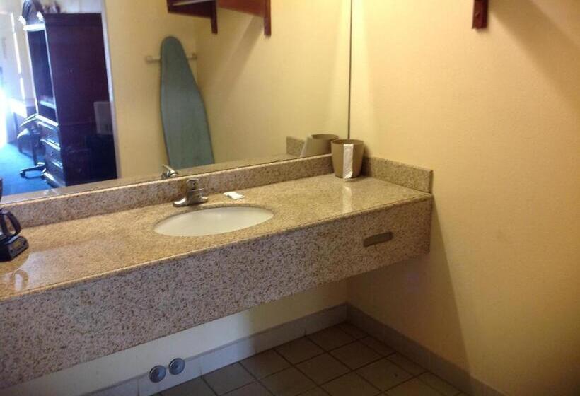 Номер Стандарт, Executive Inn & Suites