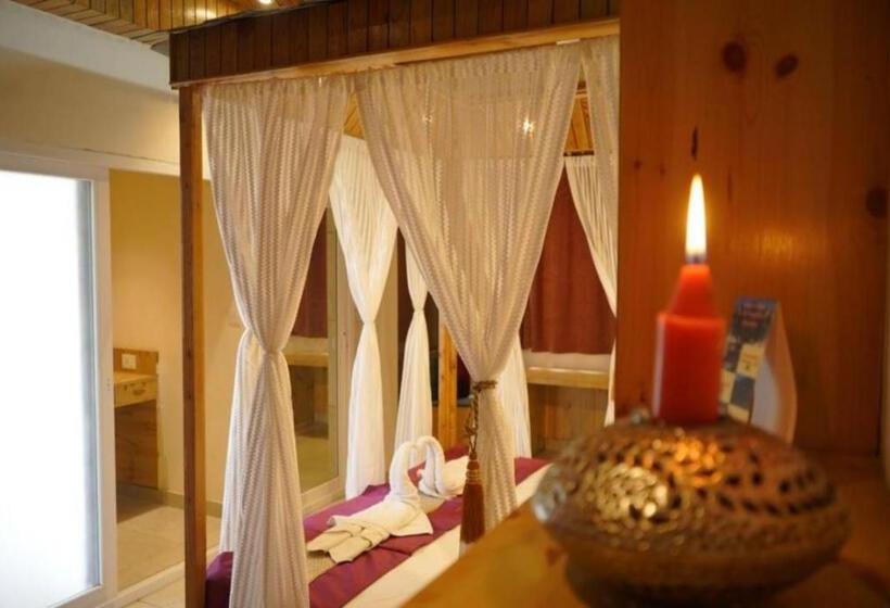 带大床的高级房间, Goroomgo Hotel Gandhi S Paradise Dharamshala