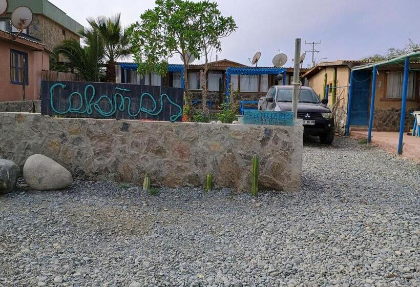 Номер Стандарт, Cabañas Rucas Marinas