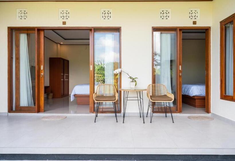 Номер Стандарт, Mangbo House