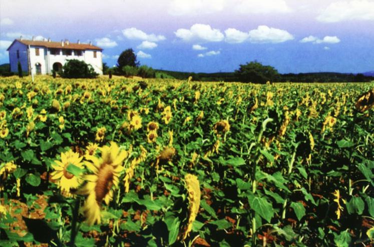 Quarto Estandar, Agriturismo Casa Lenzi