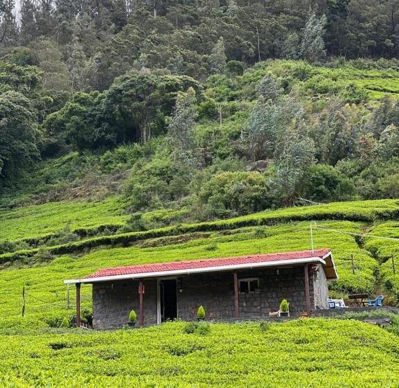 Estúdio standard com Vistas, Wild And Free Farm Stay
