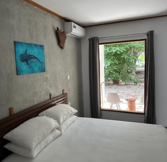 اتاق لوکس, Dive And Sleep   All Inclusive Diving Guesthouse   3 Dives Per Day