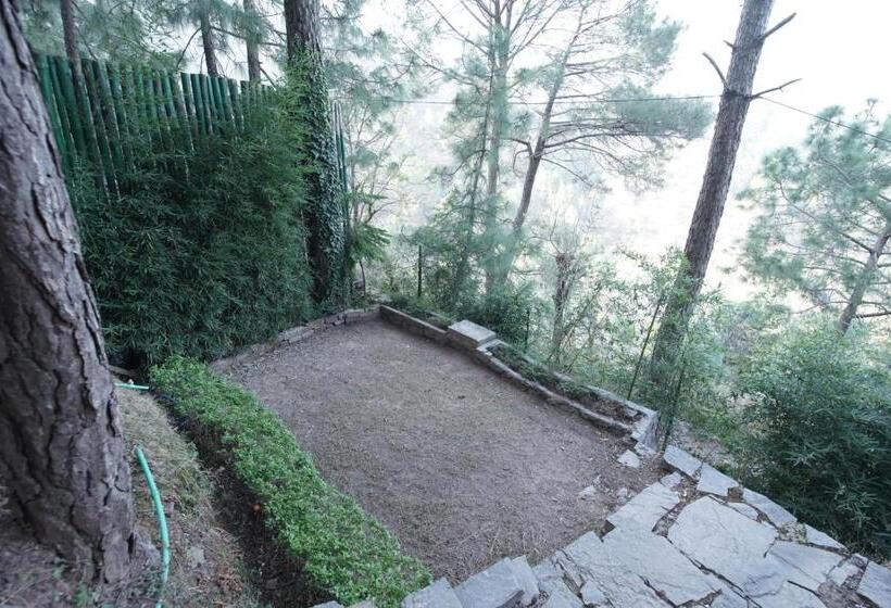 스탠다드 룸 산 전망, Kasauli Hills Resort