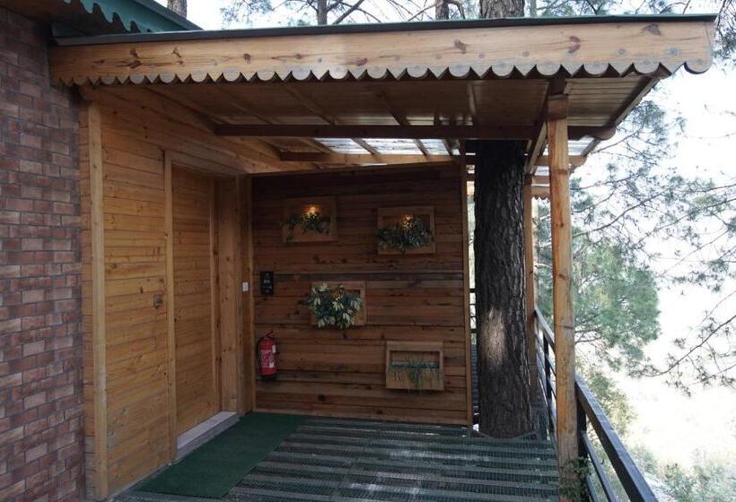 스탠다드 룸 산 전망, Kasauli Hills Resort