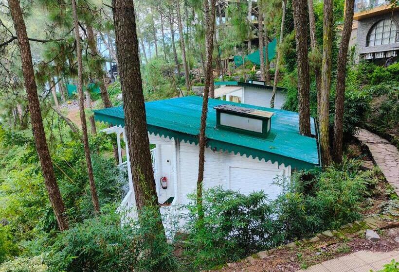 수피리어 룸, Kasauli Hills Resort