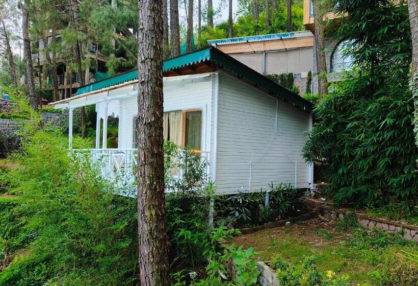 수피리어 룸, Kasauli Hills Resort