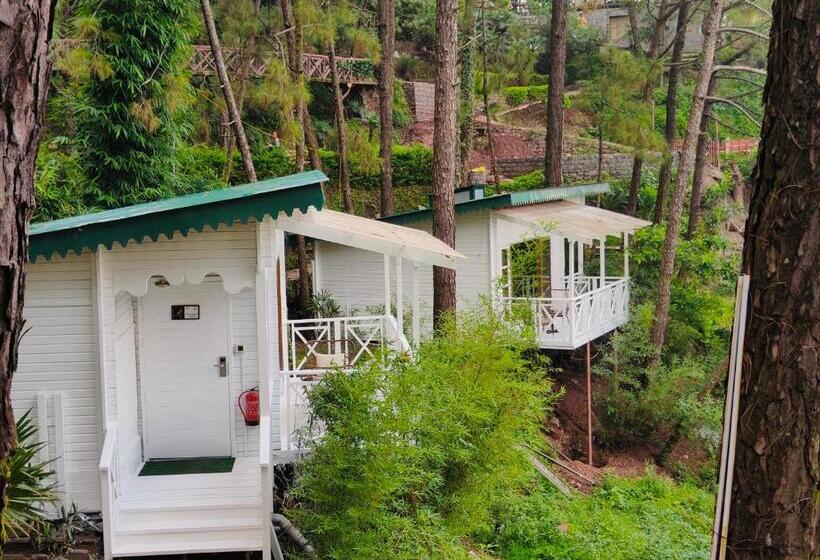 수피리어 룸, Kasauli Hills Resort